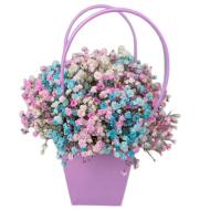 Сумочка с разноцветной гипсофилой Сумочка с разноцветной гипсофилой